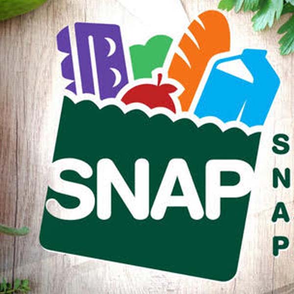 SNAP program logo.